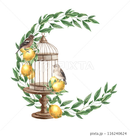 A wreath of green leaves, with a bronze cage, brown birds and yellow lemons. Isolated watercolor illustration in vintage style. Handmade composition for design of cards, wedding design, invitations. 116240624
