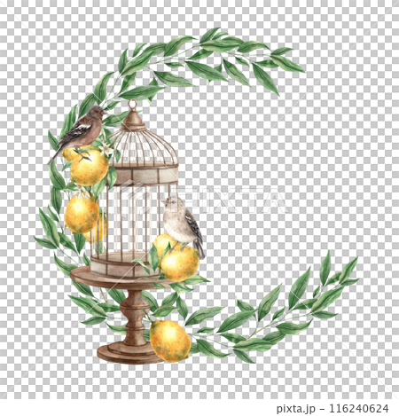 A wreath of green leaves, with a bronze cage, brown birds and yellow lemons. Isolated watercolor illustration in vintage style. Handmade composition for design of cards, wedding design, invitations. 116240624