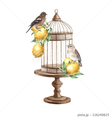 Brown birds, yellow lemons with leaves, bronze cage with stand. Isolated watercolor illustration in vintage style. Handmade composition for interior, cards, wedding design, invitations, textiles 116240625