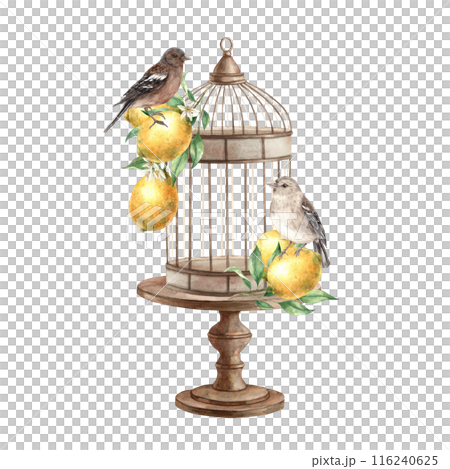 Brown birds, yellow lemons with leaves, bronze cage with stand. Isolated watercolor illustration in vintage style. Handmade composition for interior, cards, wedding design, invitations, textiles 116240625