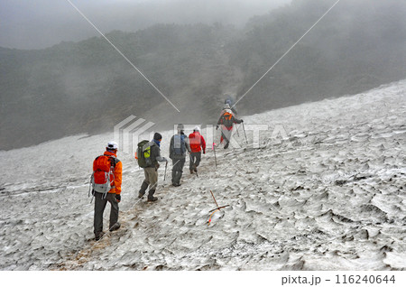 北海道　大雪山縦走　裾合平の雪渓を渡るトレッカー 116240644