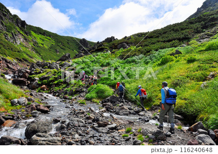北海道 大雪山縦走 ビウケナイ沢を登る 北海道 大雪山縦走 ビウケナイ沢を登る 116240648
