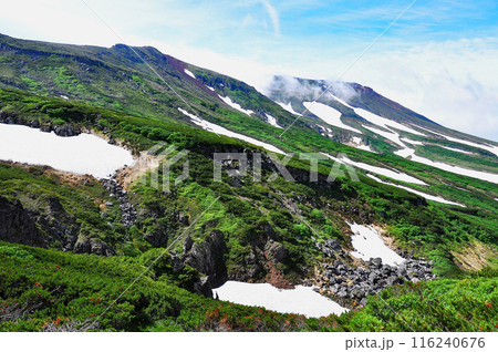 北海道　大雪山縦走　中岳中腹から熊が岳を見上げる 116240676