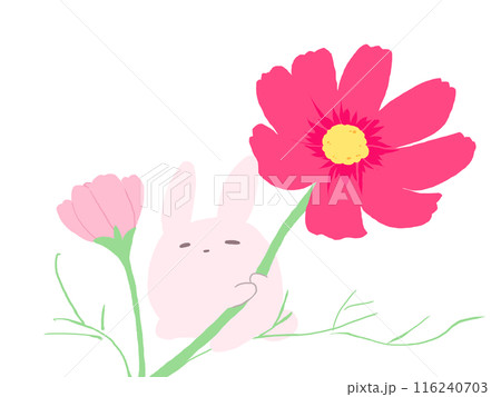コスモスうさぎ 116240703