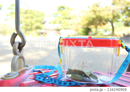 虫かご　公園 116240908