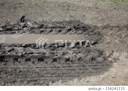 Mud, dirt in field 116241115