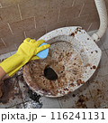 Dirty toilet and bathroom Dirty toilet and bathroom 116241131