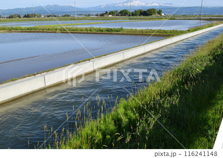 農業用水路 116241148