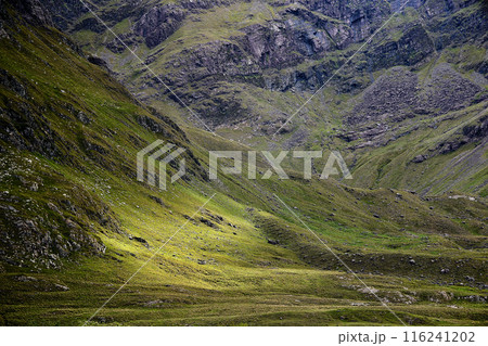 evening landscape mountains light green grass 116241202