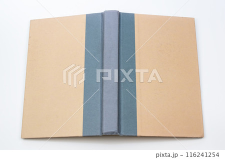 Rare and Vintage Antique Book Cover 116241254