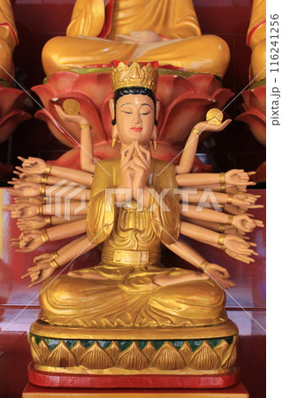 絶対見逃せない！ベトナムホーチミンの観光スポット　ベトナム料理、ピンク教会、奇怪遺産、夜景 116241256