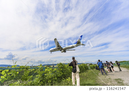 夏の大阪空港(伊丹空港) 着陸中の飛行機 大阪府豊中市 夏の大阪空港(伊丹空港) 着陸中の飛行機 大阪府豊中市 116241547