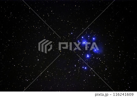 秋の星空 青く輝くプレアデス星団 秋の星空 青く輝くプレアデス星団 116241609