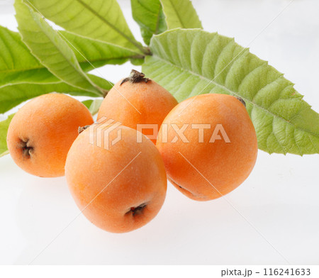 びわ　　　白バック 116241633