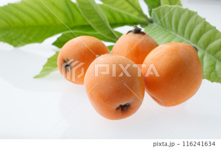 びわ　　　白バック 116241634