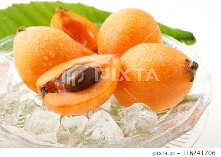 びわ　　　白バック 116241706