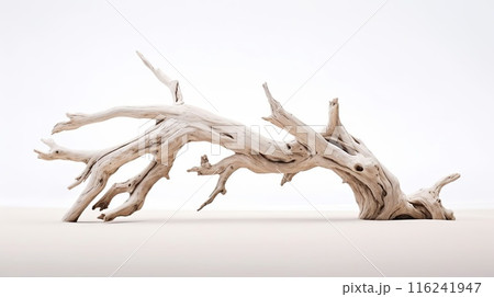 Beautiful winding driftwood for product photography. Grape branch on a table with beautiful sunlight 116241947