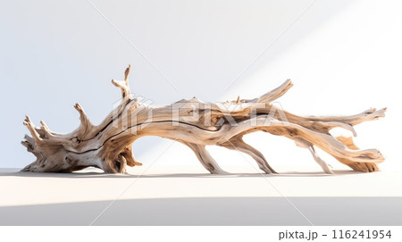 Beautiful winding driftwood for product photography. Grape branch on a table with beautiful sunlight 116241954