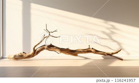 Beautiful winding driftwood for product photography. Grape branch on a table with beautiful sunlight 116241957