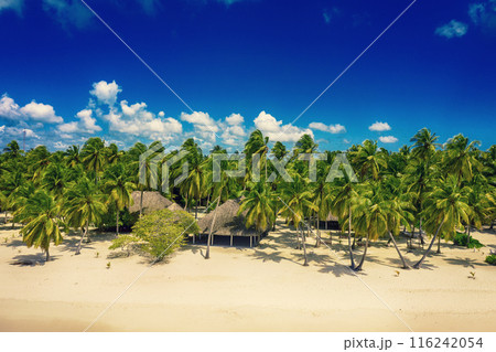 Tropical Caribbean beach, Dominican Republic 116242054
