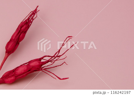 A striking red decorative spikelet texture set against a soft pink background, offering ample copy space for text. A striking red decorative spikelet texture set against a soft pink background, offering ample copy space for text. 116242197