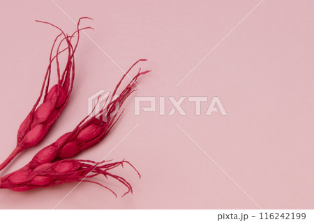 A striking red decorative spikelet texture set against a soft pink background, offering ample copy space for text 116242199