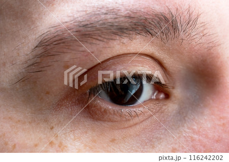 Dark brown human eye close up, view of deep black man eye Dark brown human eye close up, view of deep black man eye 116242202