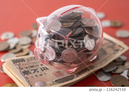 豚の貯金箱と現金 116242530