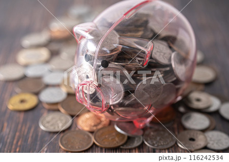 豚の貯金箱と現金 116242534