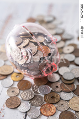 豚の貯金箱と現金 116242566