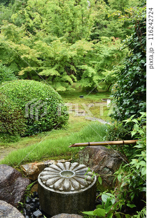 雲龍院 水琴窟「龍淵のさやけし」 雲龍院 水琴窟「龍淵のさやけし」 116242724