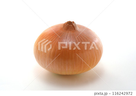 新鮮な玉ねぎ 116242972