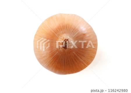 新鮮な玉ねぎ 116242980