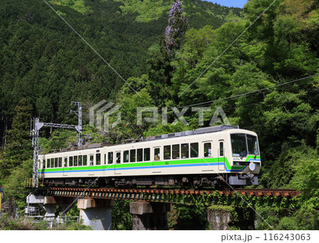 叡山電鉄 貴船口駅付近を走る810形電車 叡山電鉄 貴船口駅付近を走る810形電車 116243063