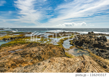 屋久島最大の隆起サンゴ礁 　春田浜海水浴場(夏 116243317