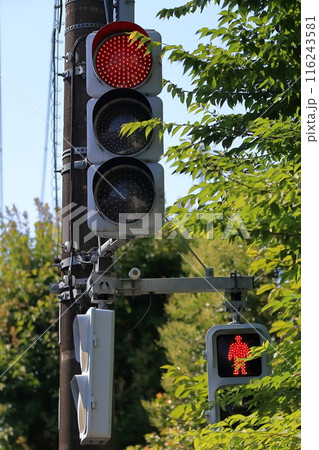 信号機 116243581