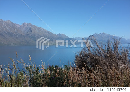 Lakeside Photo of Lake Wakatipu and The Remarkables in Glenorchy New Zealand Lakeside Photo of Lake Wakatipu and The Remarkables in Glenorchy New Zealand 116243701