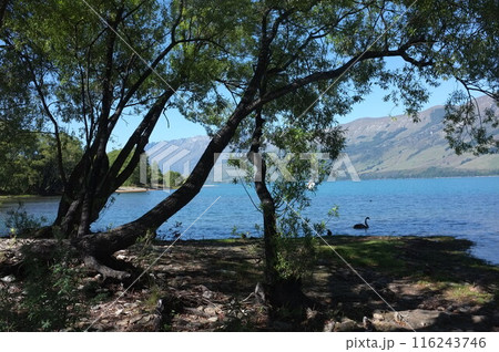 Lakeside Photo of Lake Wakatipu and The Remarkables in Glenorchy New Zealand Lakeside Photo of Lake Wakatipu and The Remarkables in Glenorchy New Zealand 116243746