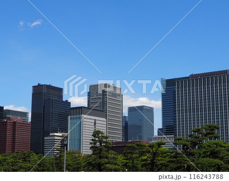 ビルと青空 ビルと青空 116243788