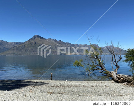 Lakeside Photo of Lake Wakatipu and The Remarkables in Glenorchy New Zealand 116243869