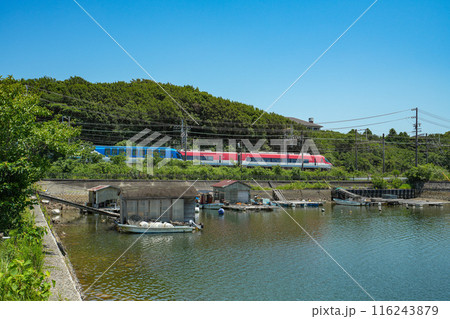 近鉄観光特急　しまかぜ 116243879