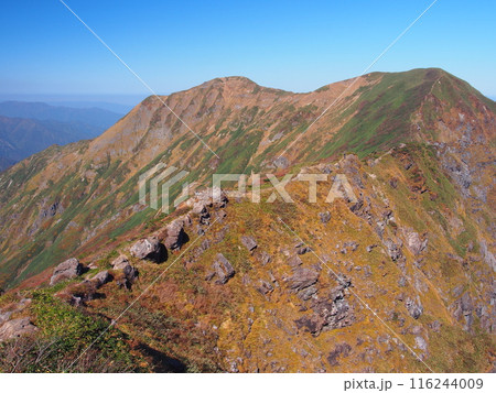 谷川岳・オキノ耳から望む秋の一ノ倉岳と茂倉岳 谷川岳・オキノ耳から望む秋の一ノ倉岳と茂倉岳 116244009