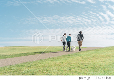 秋の空の下の公園で犬の散歩をする家族・夫婦・カップル・男女（ウォーキング・ジョギング・ランニング） 116244106