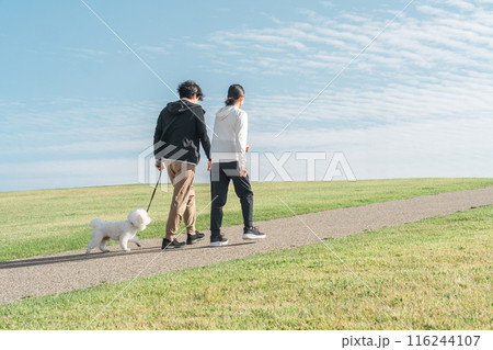 秋の空の下の公園で犬の散歩をする家族・夫婦・カップル・男女（ウォーキング・ジョギング・ランニング） 116244107