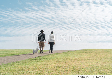 秋の空の下の公園で犬の散歩をする家族・夫婦・カップル・男女（ウォーキング・ジョギング・ランニング） 116244109
