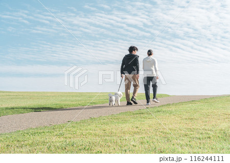 秋の空の下の公園で犬の散歩をする家族・夫婦・カップル・男女（ウォーキング・ジョギング・ランニング） 116244111