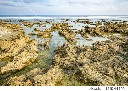屋久島最大の隆起サンゴ礁　春田浜海水浴場(秋 116244503