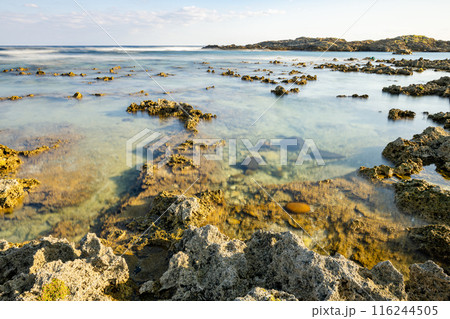 屋久島最大の隆起サンゴ礁 春田浜海水浴場(秋 屋久島最大の隆起サンゴ礁 春田浜海水浴場(秋 116244505