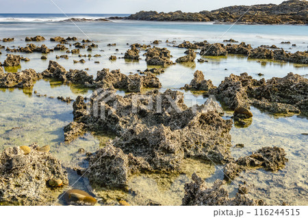 屋久島最大の隆起サンゴ礁　春田浜海水浴場(秋 116244515