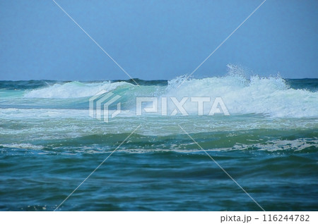 夏の日本海 116244782